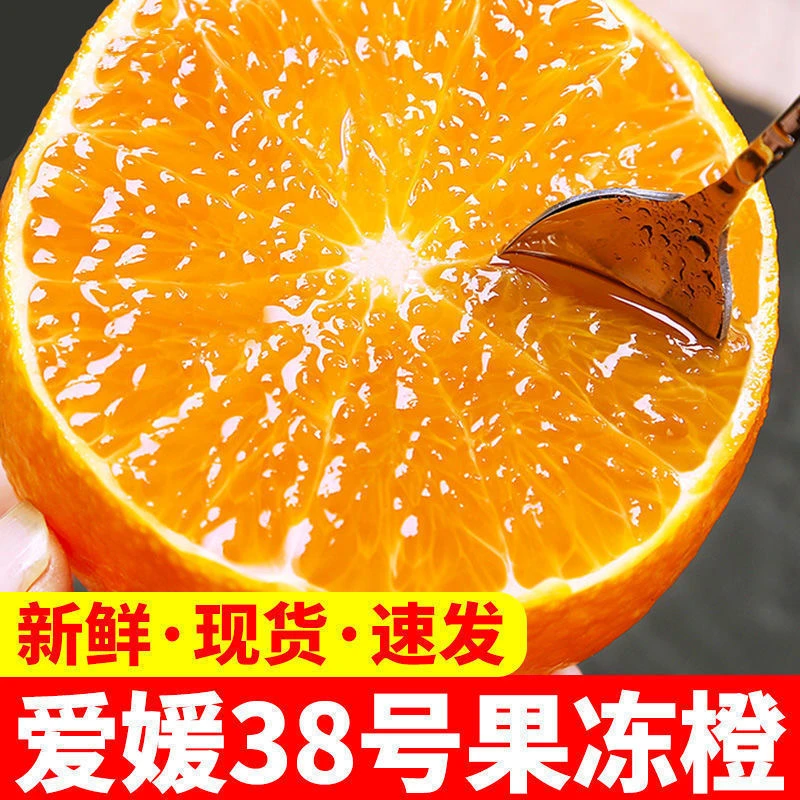 【产地鲜果】正宗四川眉山爱媛38号果冻橙香甜5/8斤【坏果包赔