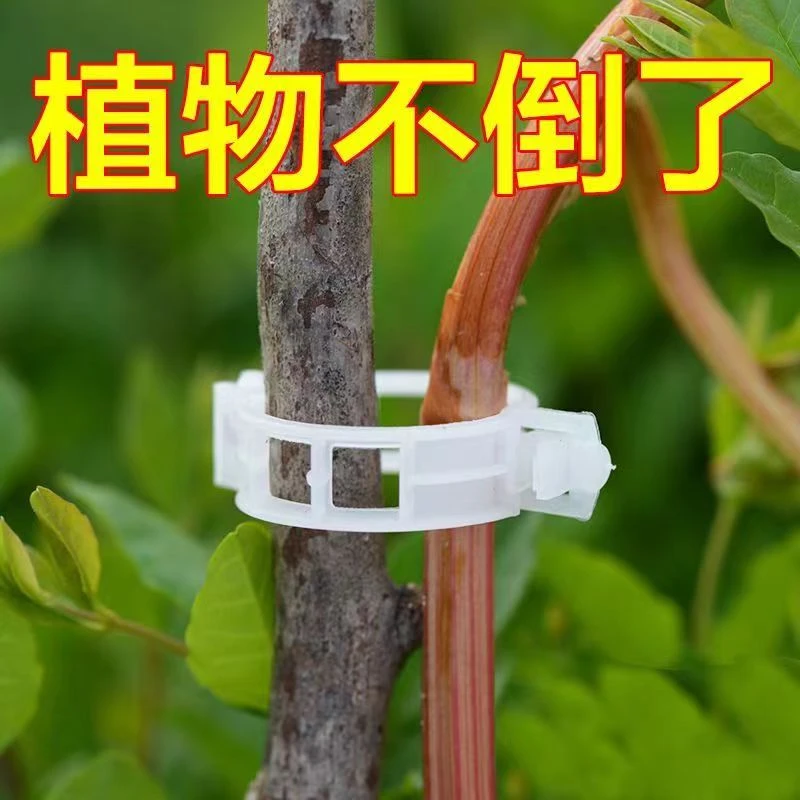 西红柿吊秧绑枝黄瓜丝瓜番茄扶蔓植物固定夹绿植园艺爬藤卡扣固定