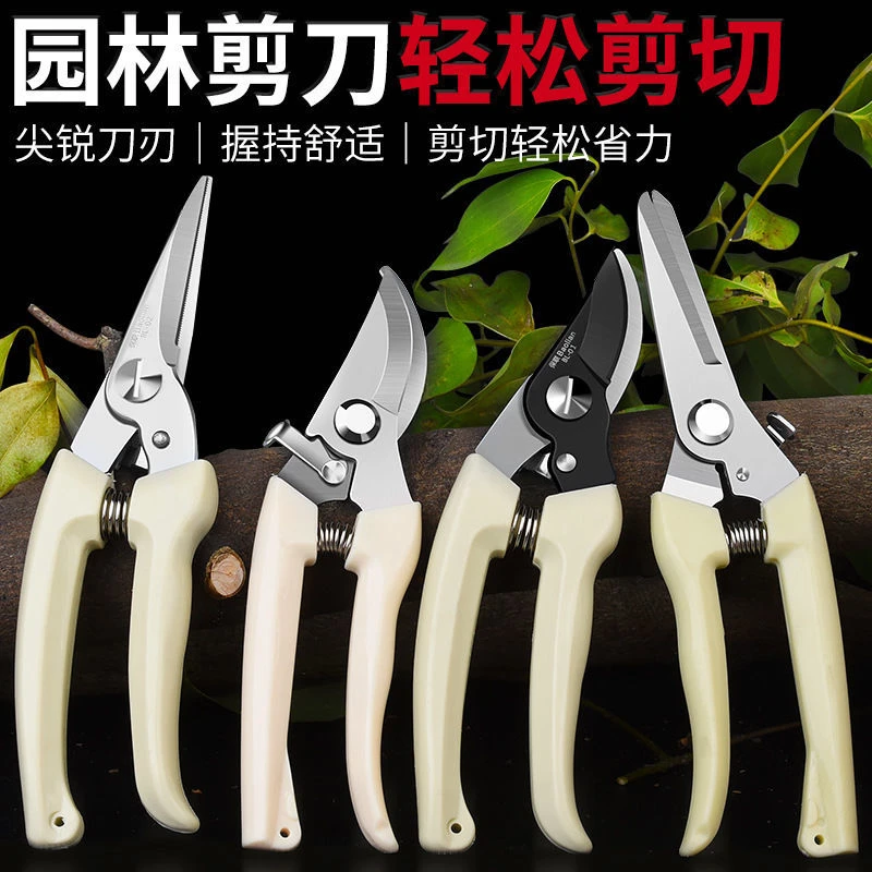 【修剪神器】园艺剪刀摘水果树枝修花工具盆栽修枝剪不锈钢家用