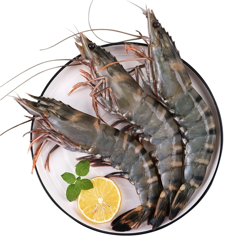 海水养殖.活冻大黑虎虾3斤（10-12只左右/斤）