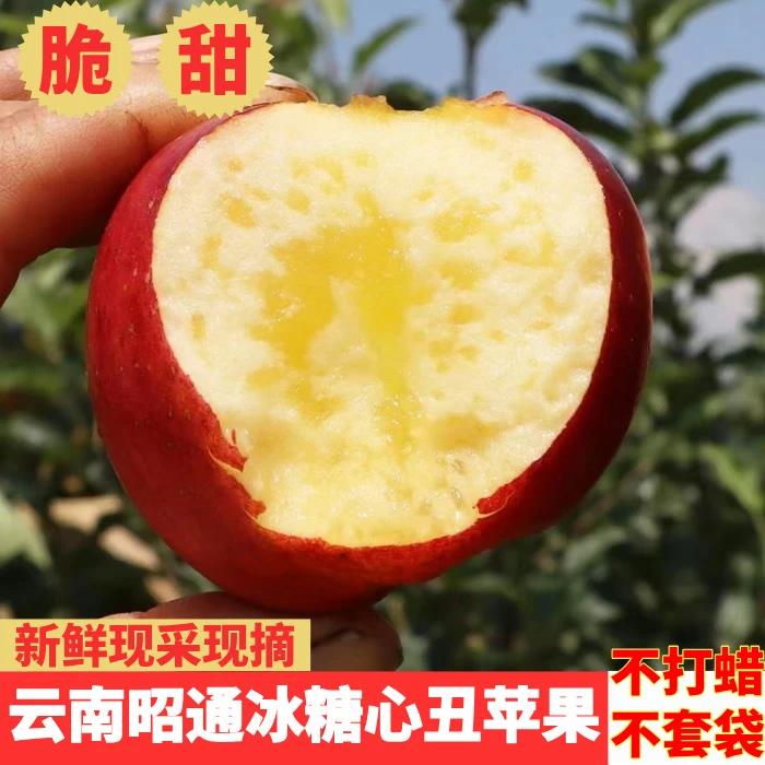 【正宗昭通苹果】2024云南现摘富士冰糖心丑苹果4.5/8.5斤包邮脆甜