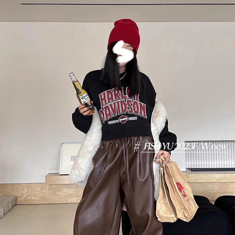 新年款即墨秋冬卫衣美式复古字母过年百搭宽松短款加绒印花卫衣