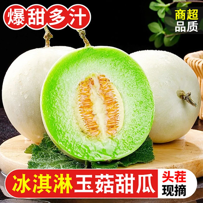 山东正宗冰淇淋玉菇甜瓜3/5/8.5斤新鲜当季蜜瓜香瓜整箱脆密瓜