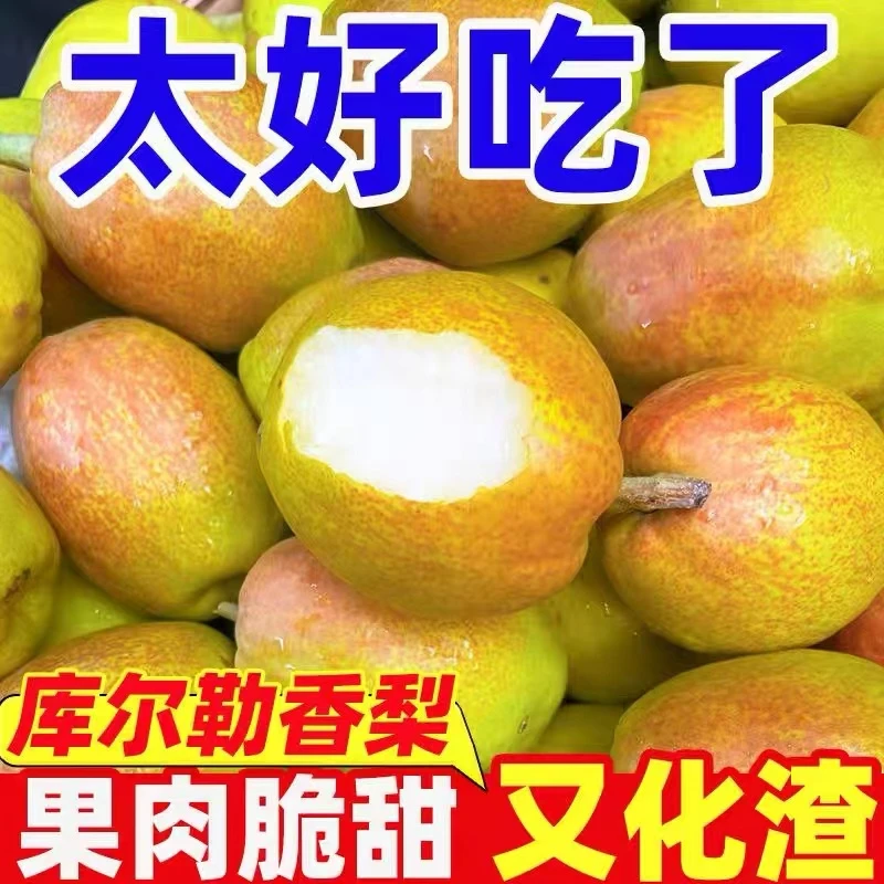 【到手5斤】新疆库尔勒香梨新鲜孕妇水果整箱精选大果包邮正宗