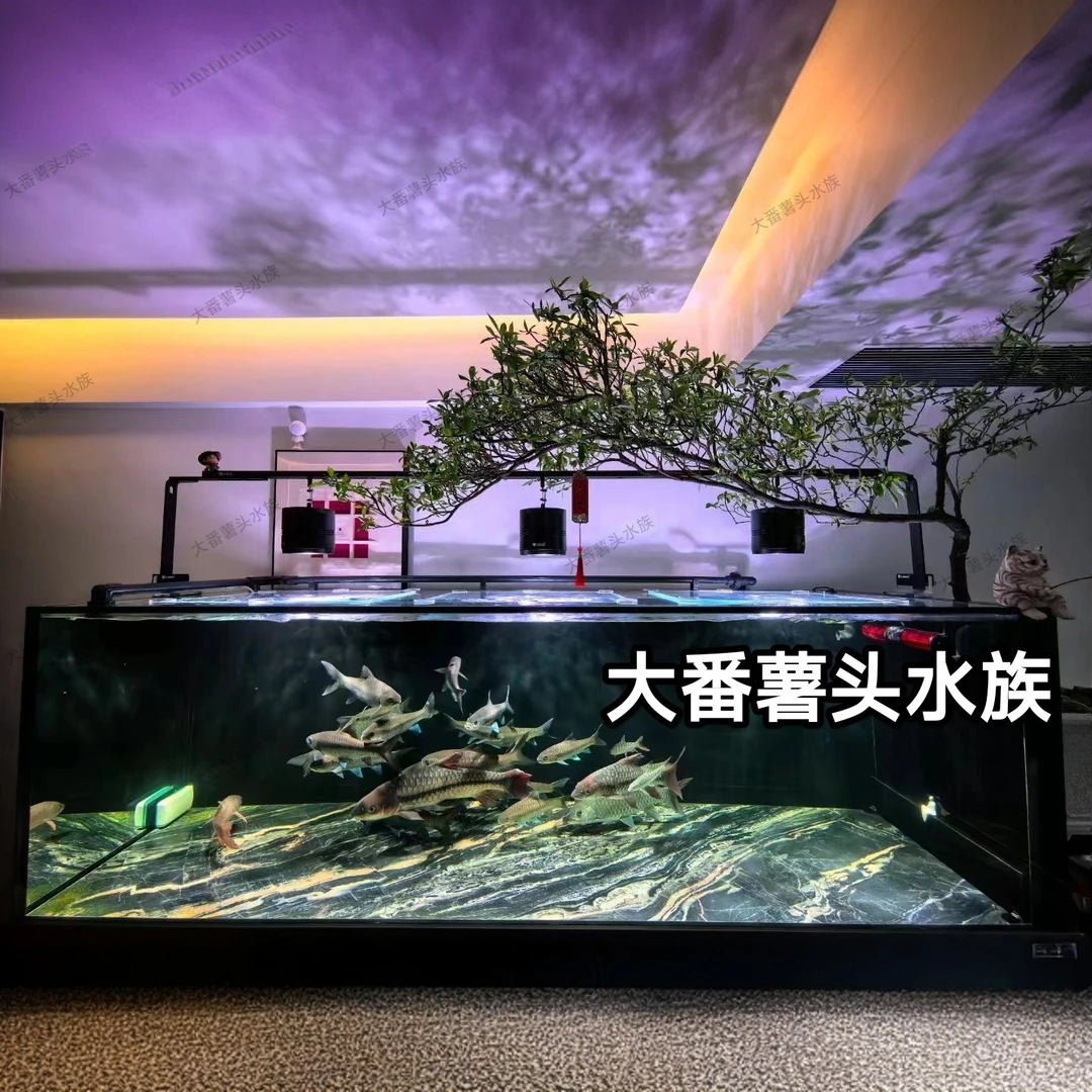 乐迪吉罗王增艳筒灯爆藻水草植物显色大型原生态鱼缸溪流缸鱼缸灯