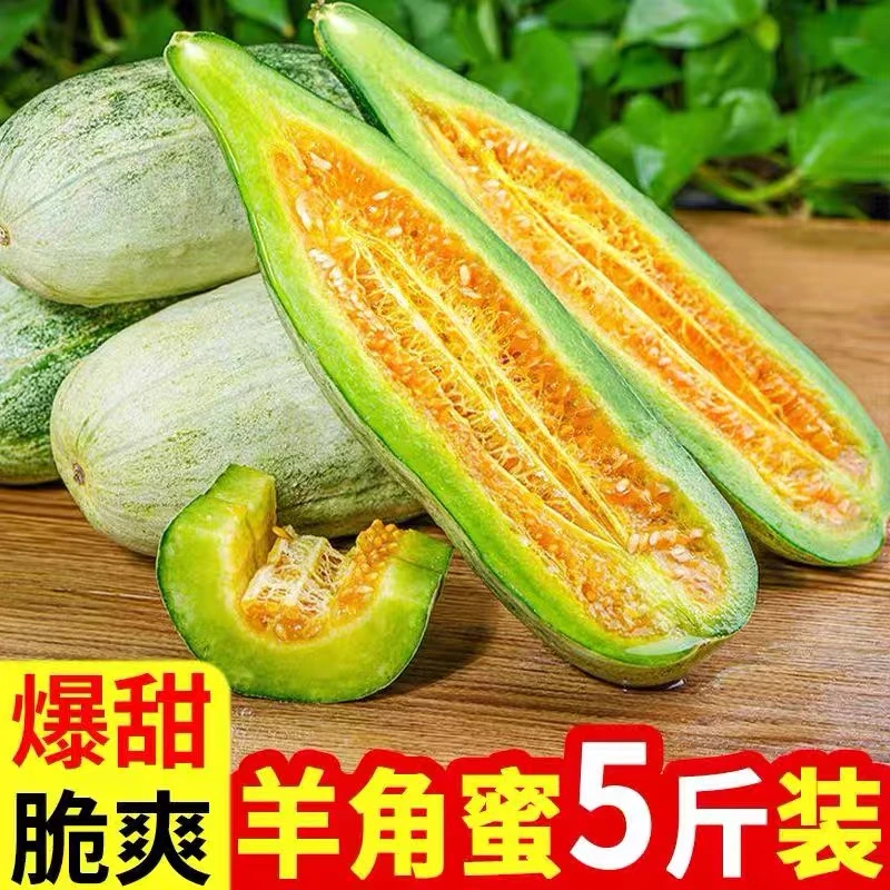 山东头茬羊角蜜当季新鲜水果脆甜蜜瓜鲜果5斤现货产地直发包邮