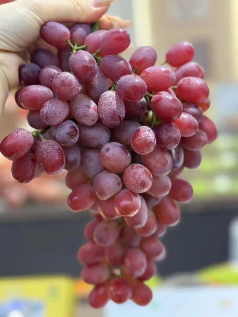 克伦生无籽脆甜红提【2斤一份】