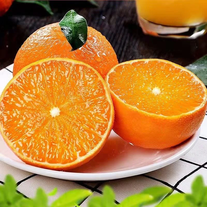 SC凯哥4.5斤四川眉山爱媛38号果冻橙应季水果带枝叶新鲜现摘现发
