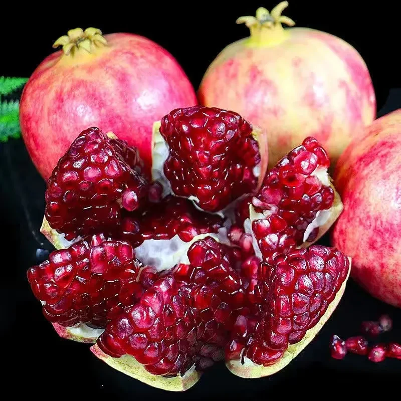 【全爸专属】四川会理突尼斯软籽石榴新鲜水果当季饱满多汁产地直发