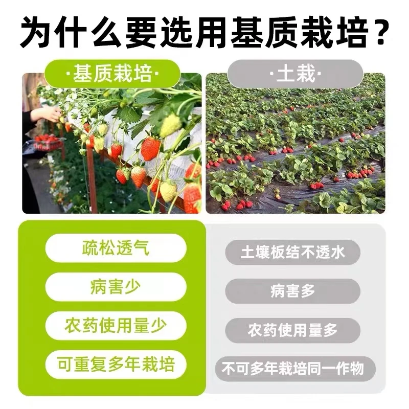 草莓纯进口基质调配，促生根，促结果，不板结，疏松透气，无重金
