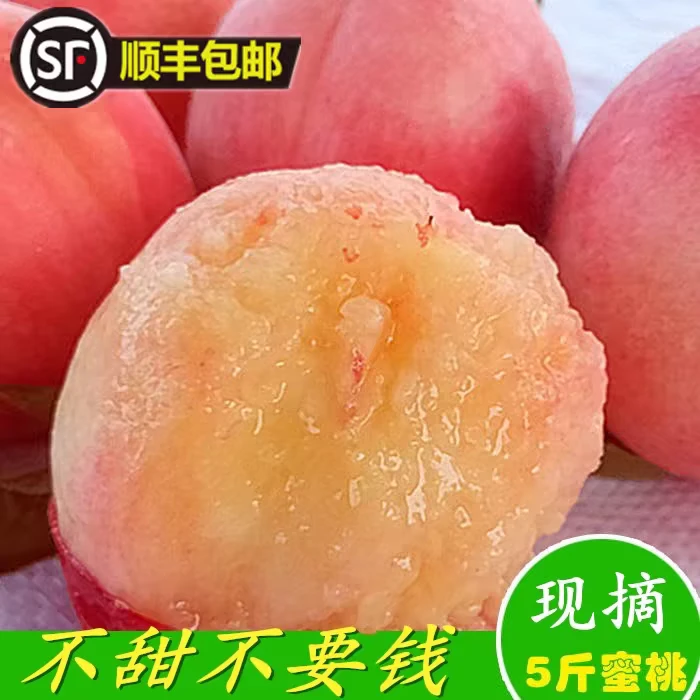正宗顺平水蜜桃久保肉厚核小个大超好吃非阳山水蜜桃产地夏日美食
