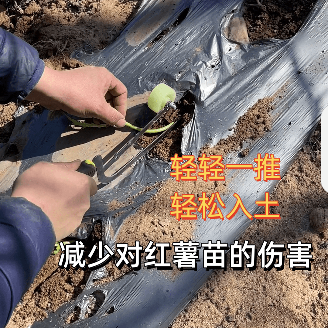红薯栽苗器地瓜插苗器耐用便捷精选种植厂家直销使用舒适优质传统
