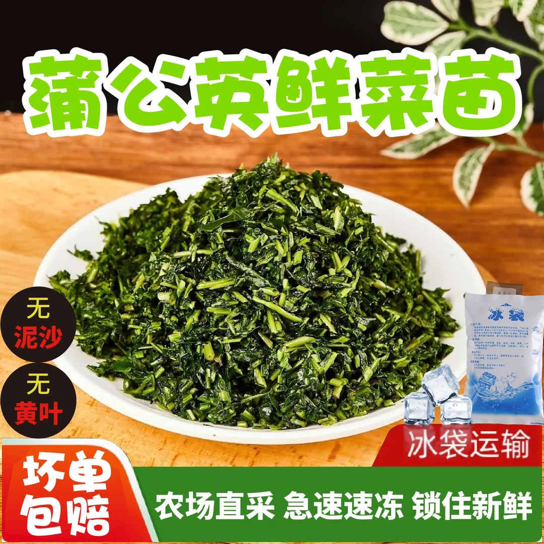 速冻蒲公英馅切碎冷鲜菜馅婆婆丁水饺野菜包子馅饺子馅家用/商用