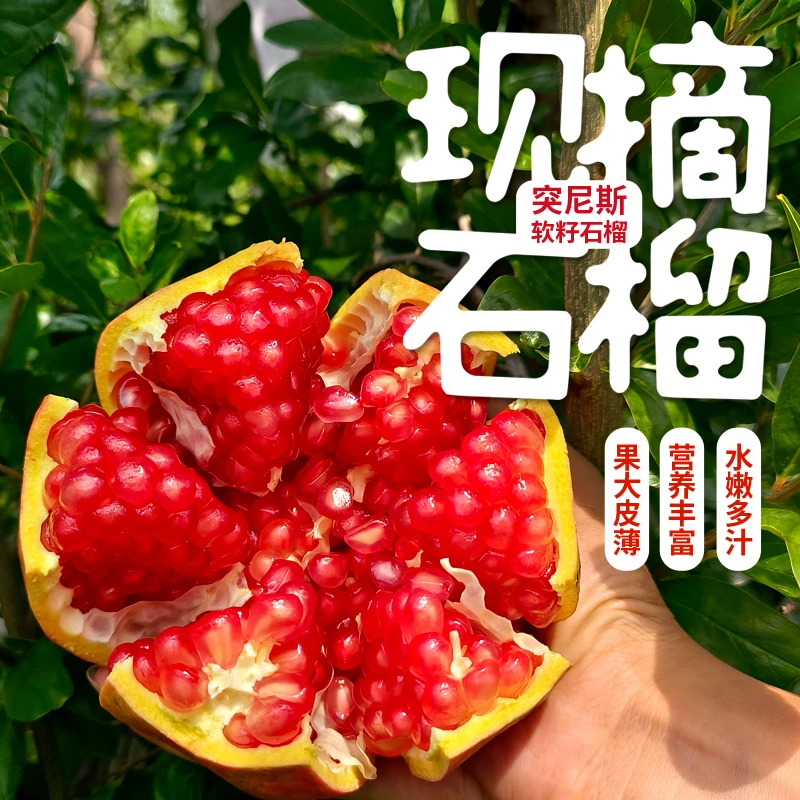 石榴 软籽石榴云南香甜突尼斯新鲜采摘坏果包赔5斤/9斤整箱