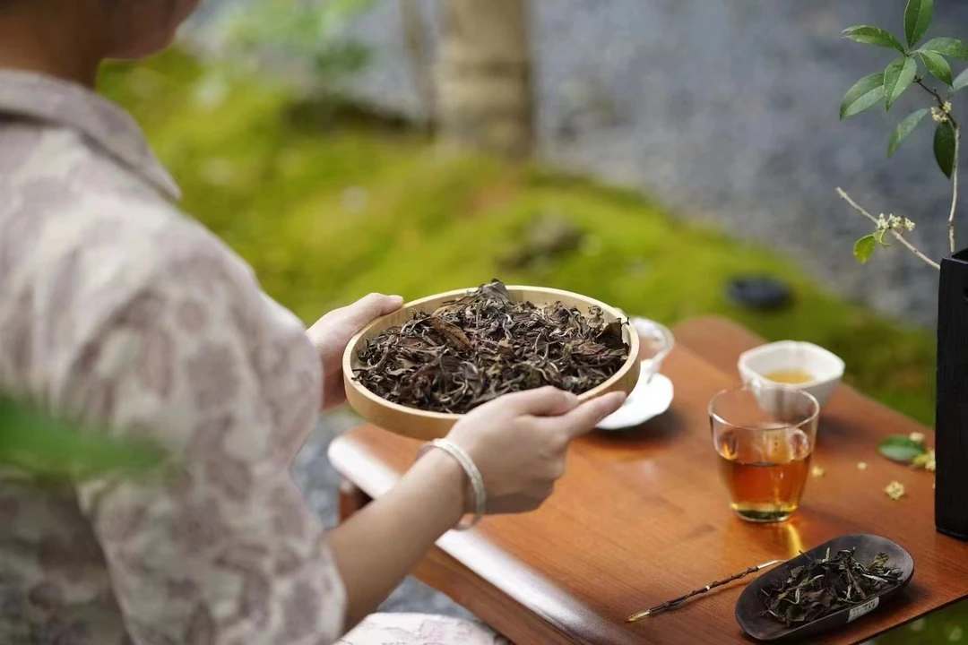 猫耳朵50g散茶普洱茶生普