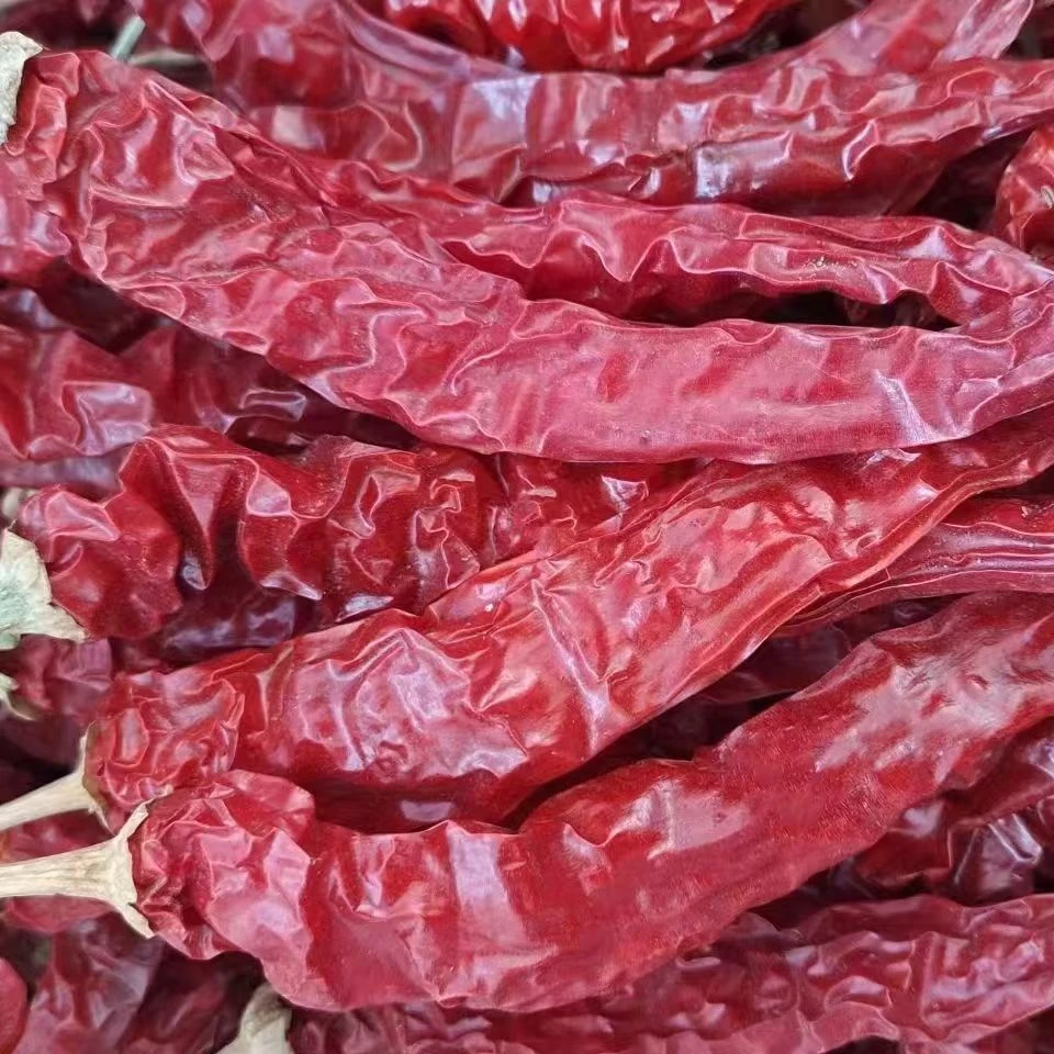 东北特产干红辣椒小园辣椒500克