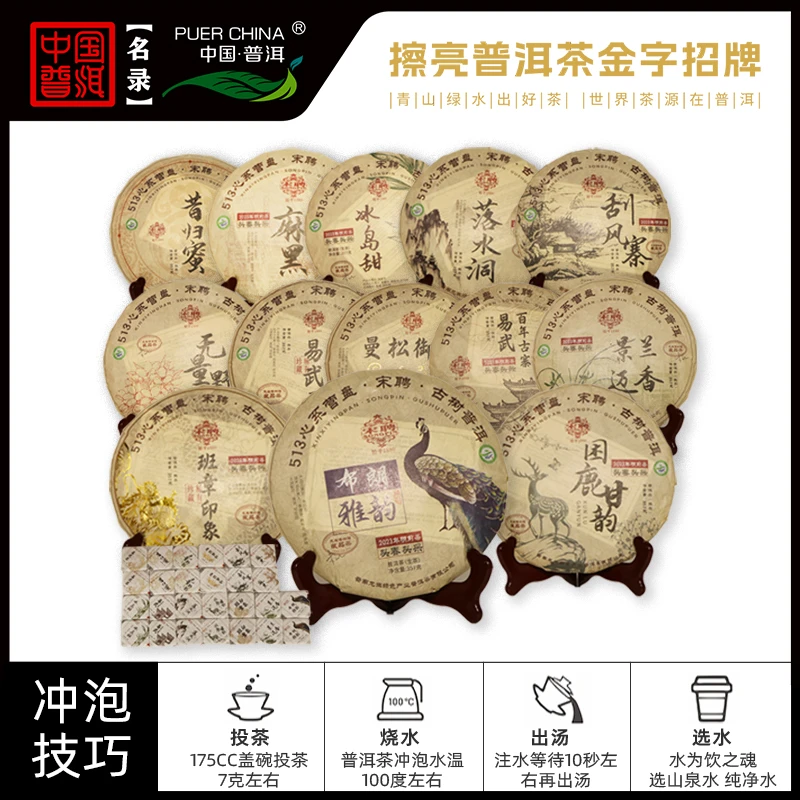 【中国普洱严选·龙生茶业】 龙生2023年513山头系列生茶饼13饼一套