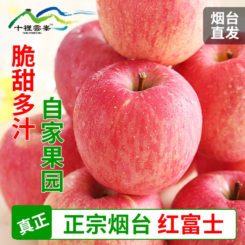 正宗烟台红富士苹果 薄皮自然脆甜爆汁鲜果 营养酸甜多汁新鲜苹果