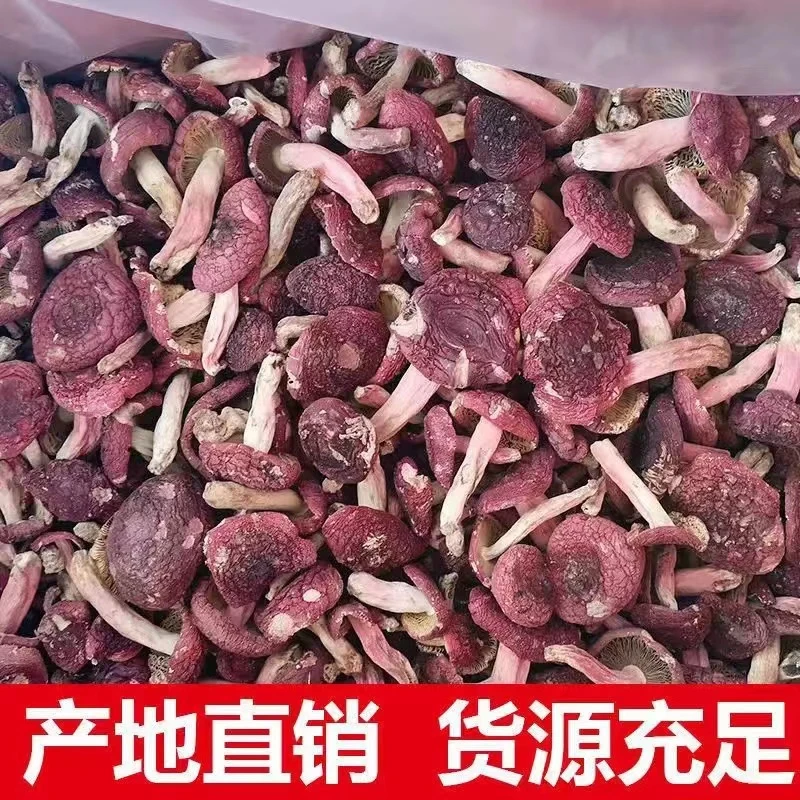 四川 高山自然生长 手工采摘红菇包邮