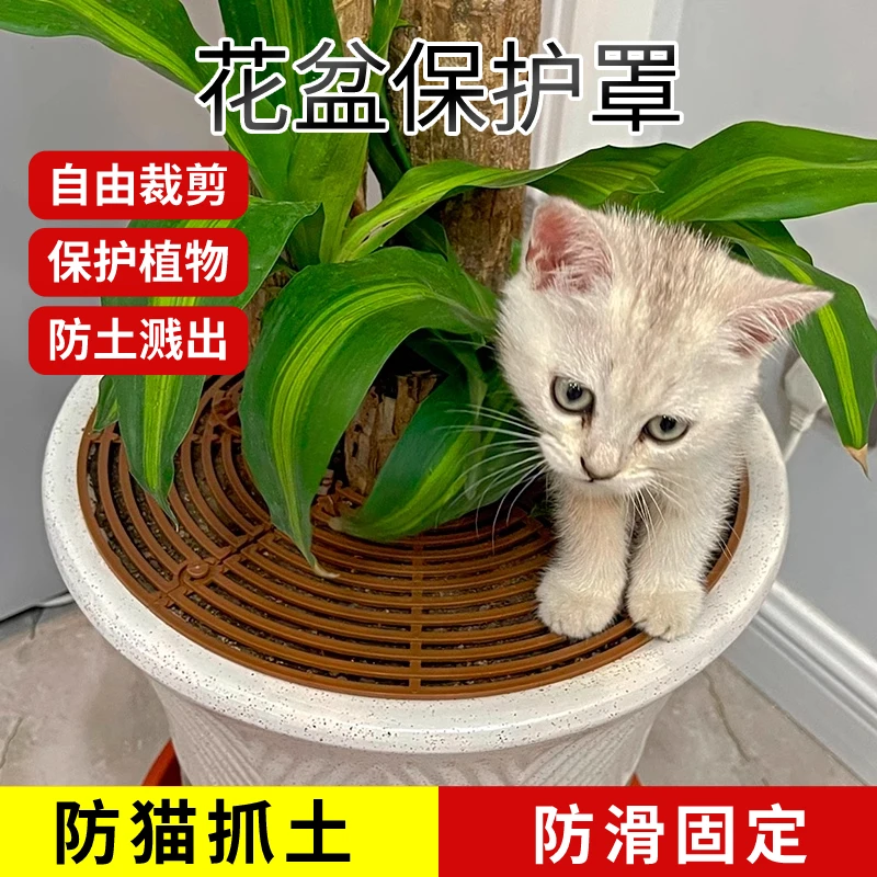 花盆植物保护罩防猫抓防老鼠土网盖护土盖盆栽固土防小孩倒出包邮
