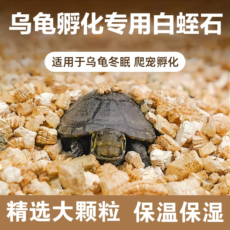 乌龟孵化专用白蛭石大颗粒蛇蜥蜴小动物蛋卵保湿垫材爬宠用品黄缘