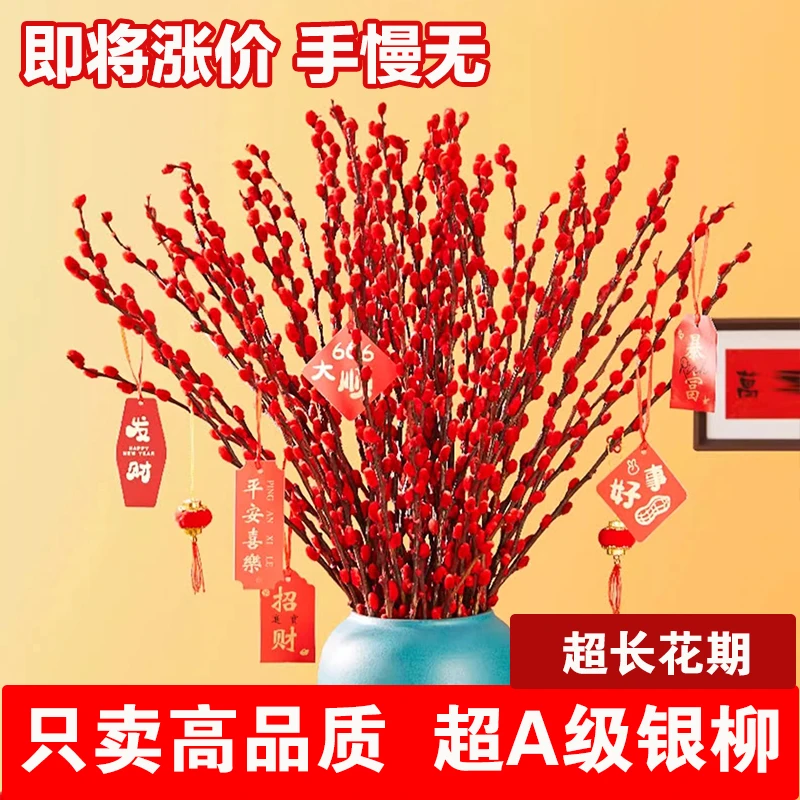 银柳真花鲜枝干花摆件室内客厅红色年宵花卉新年水培过年干枝鲜花