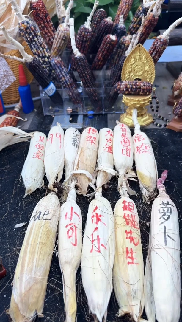 【闪购商品】小心心的文玩玉米哈哈哈