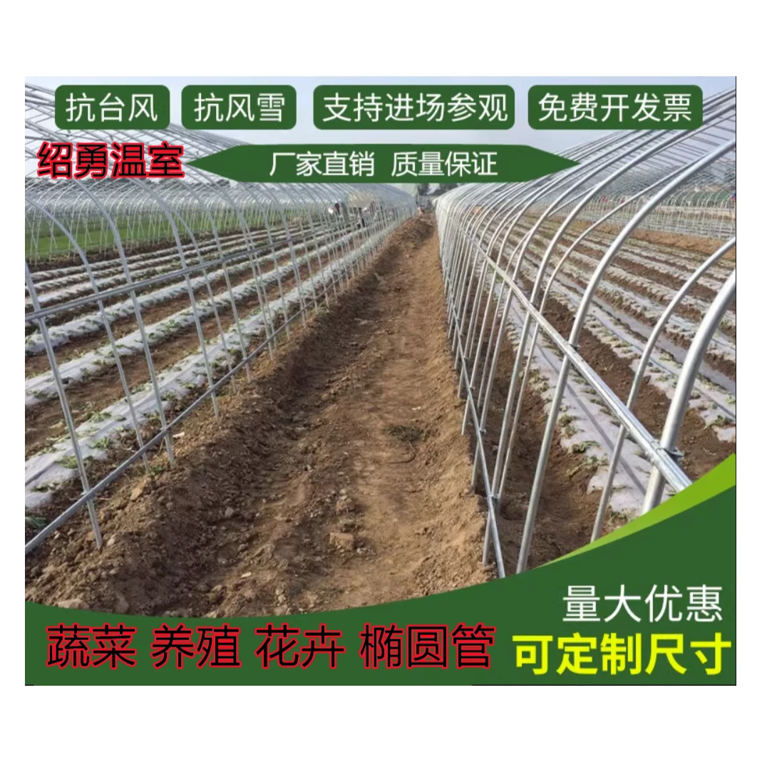 绍勇大棚神器骨架椭圆管大棚养殖猪棚鸡牛羊大棚连体连栋大棚