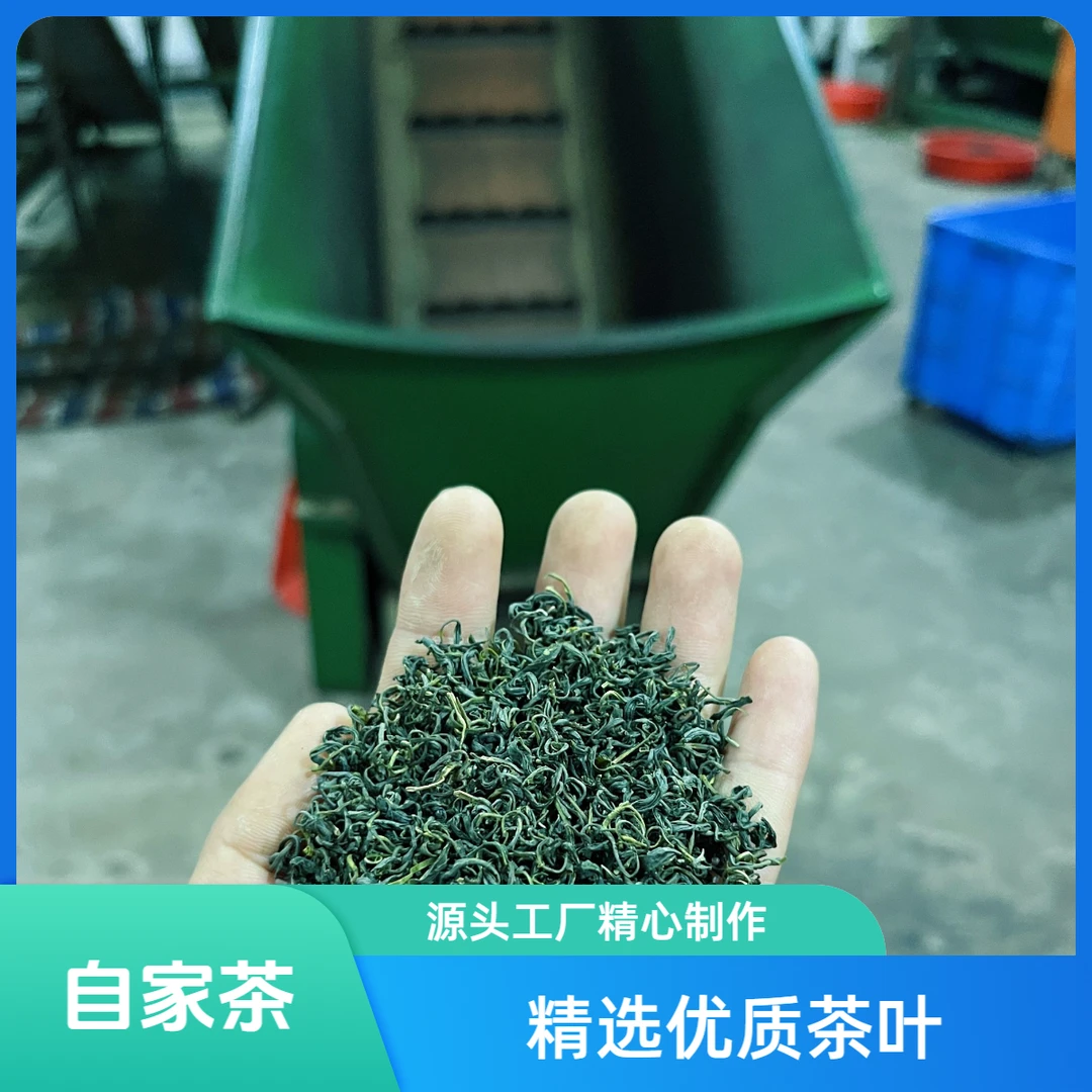 正宗高山云雾绿茶香茶2024年新茶土茶板栗香鲜爽回甘高山浓香炒青