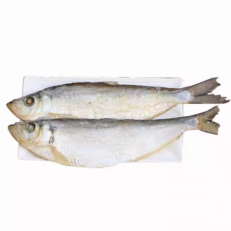 腌制可选咸鱼半干白鳞鱼5斤红烧味道美味鲜美营养丰富自然风味