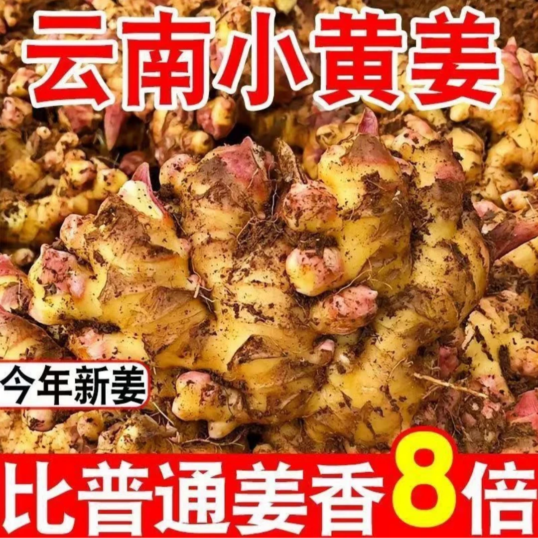【精品小黄姜】云南小黄姜 厨房炒菜 凉拌菜生姜 嫩姜带泥净重3斤