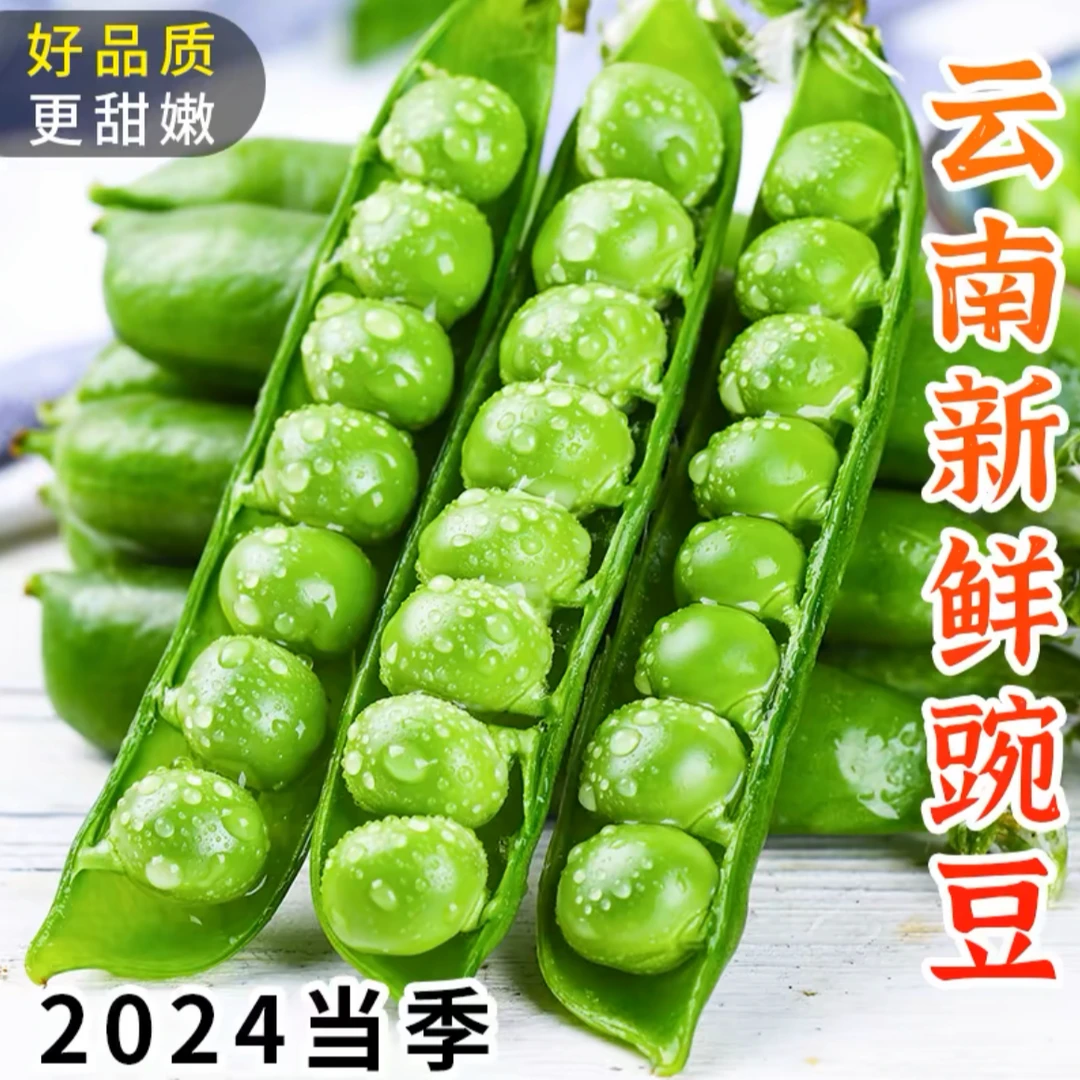 云南新鲜甜豌豆新鲜现摘现发1斤当季蔬菜农家高山饱满优质