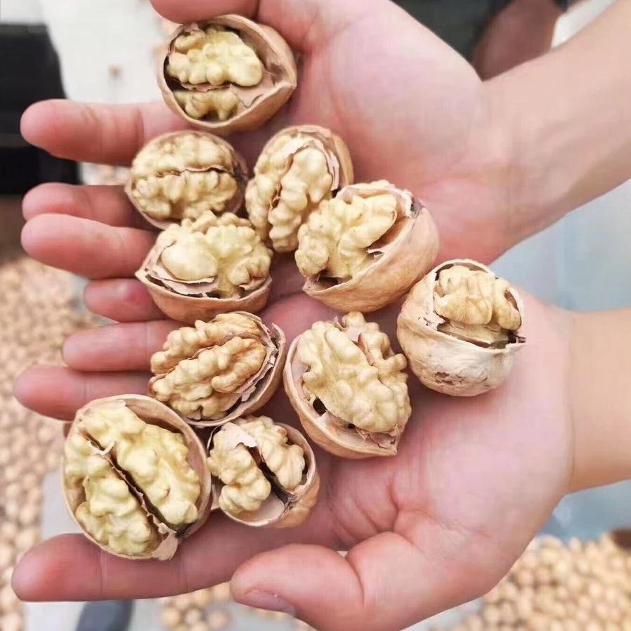 新疆阿克苏纸皮核桃每日坚果仁健康小零食新疆特产薄皮大颗山核桃