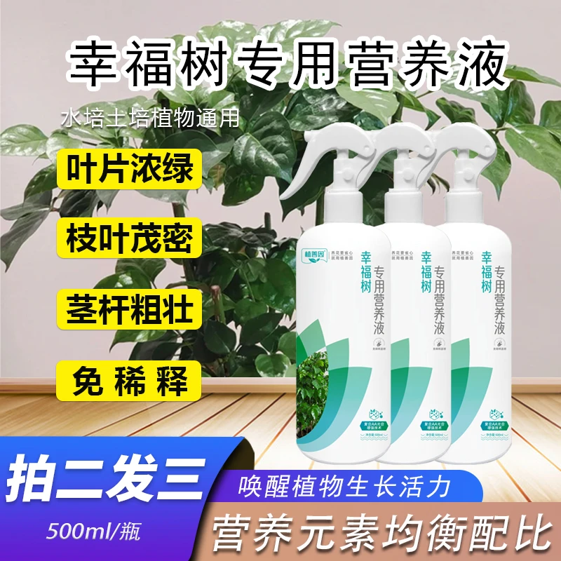 免稀释黄叶转绿幸福树专用营养液植物营养液植株健壮护根促生长