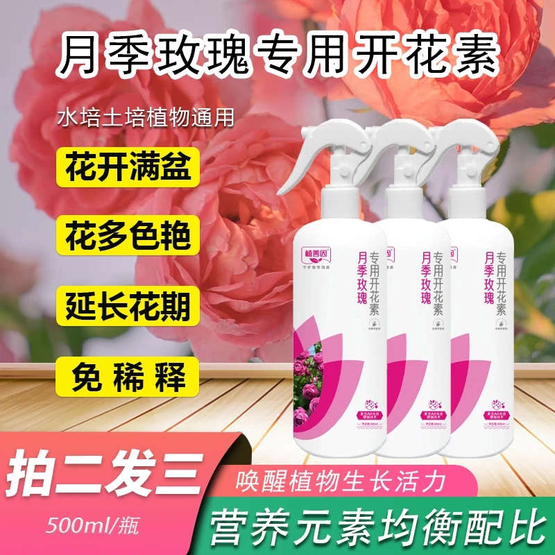 月季玫瑰延长花期花大色艳花卉营养液鲜花鲜花营养液推荐
