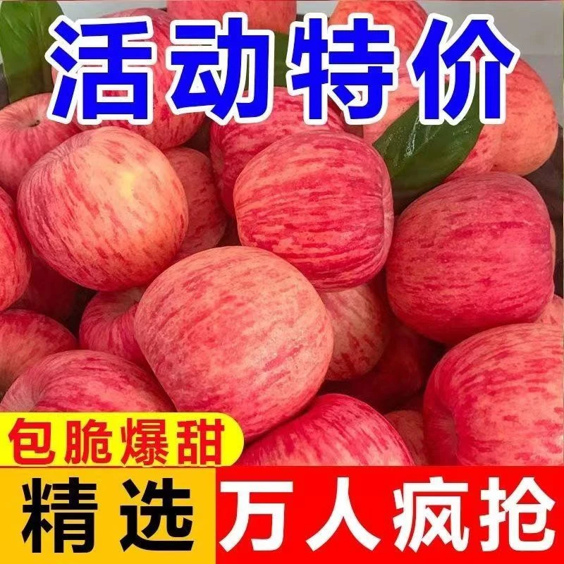 正宗红富士苹果新鲜应季水果脆甜原产地陕西洛川苹果冰糖心原生态
