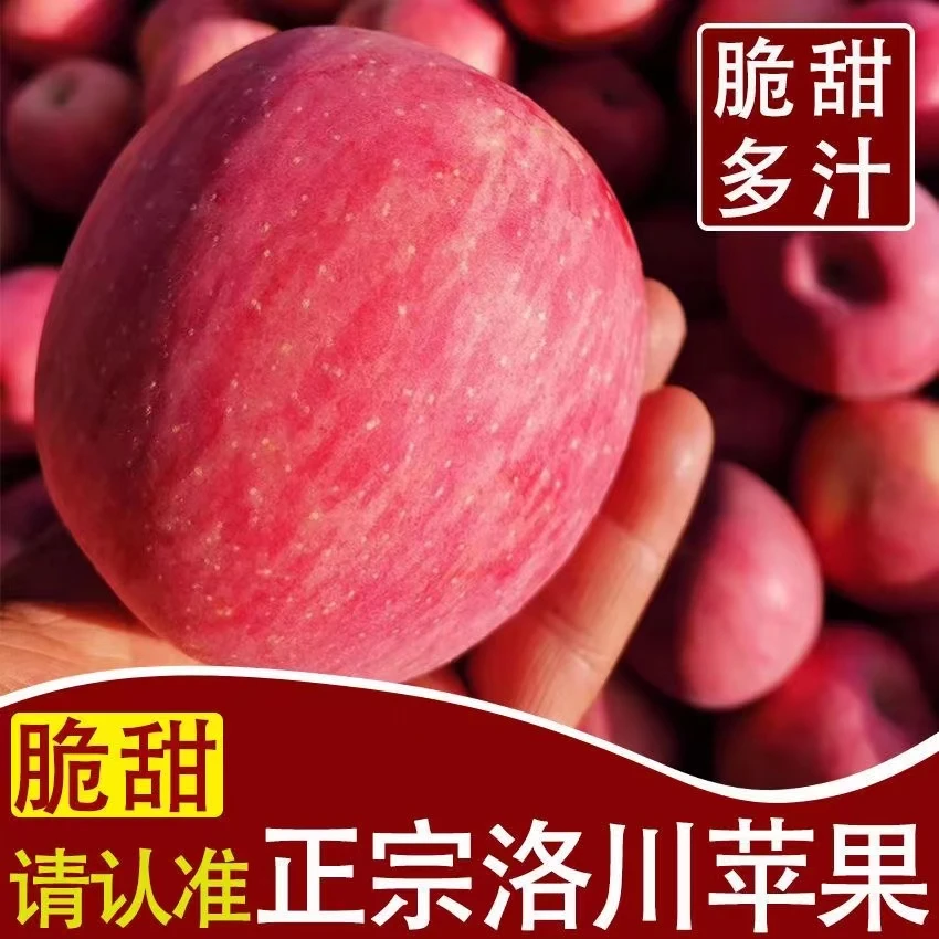 【头茬新果】早熟红富士正宗洛川红富士苹果2/5/10斤整箱新鲜冰糖心