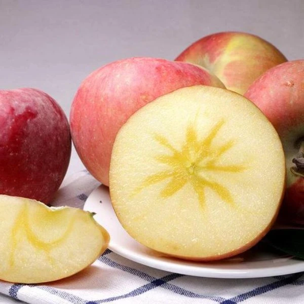 【新疆特产】阿克苏红旗坡直供正宗脆甜霜降甜蜜营养毛重苹果冰糖心
