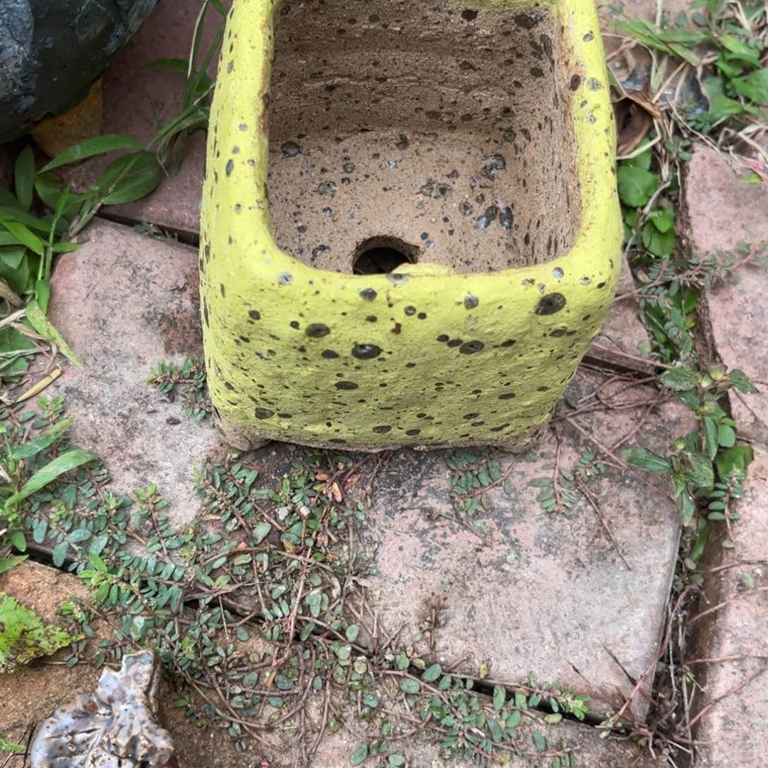 泥塑骆****池古镇炻陶花盆