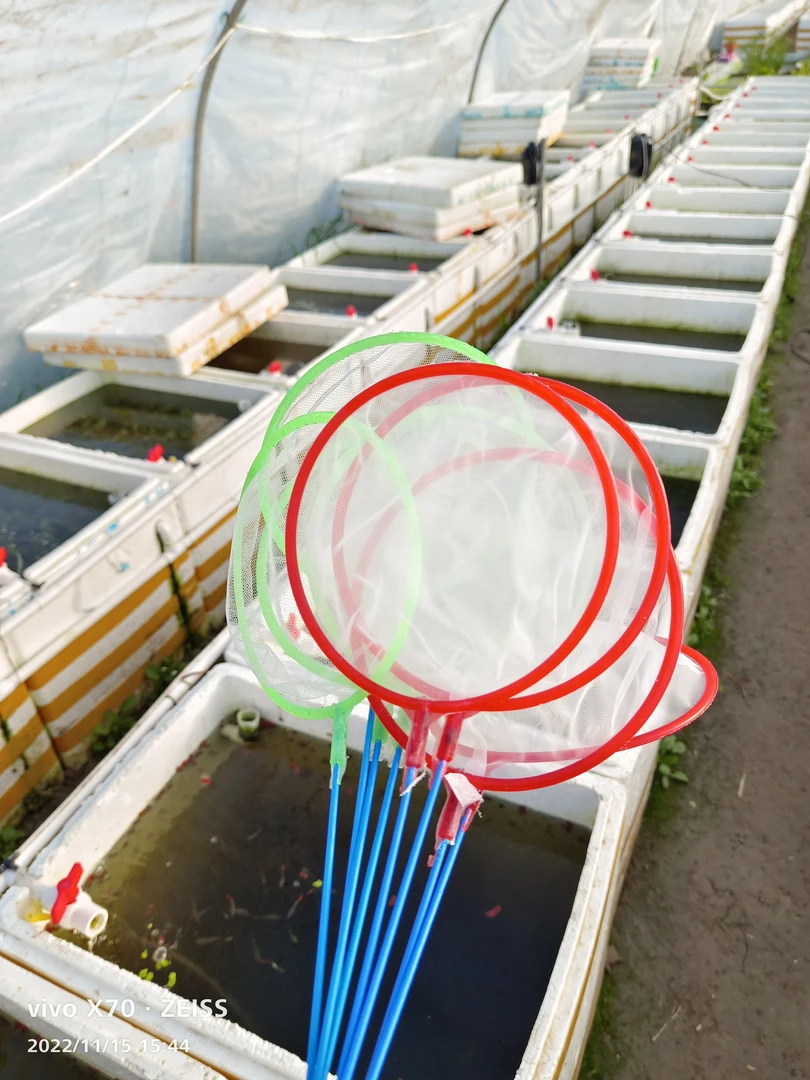 精致鱼捞网，可捞鱼苗，水蚤，丰年虾