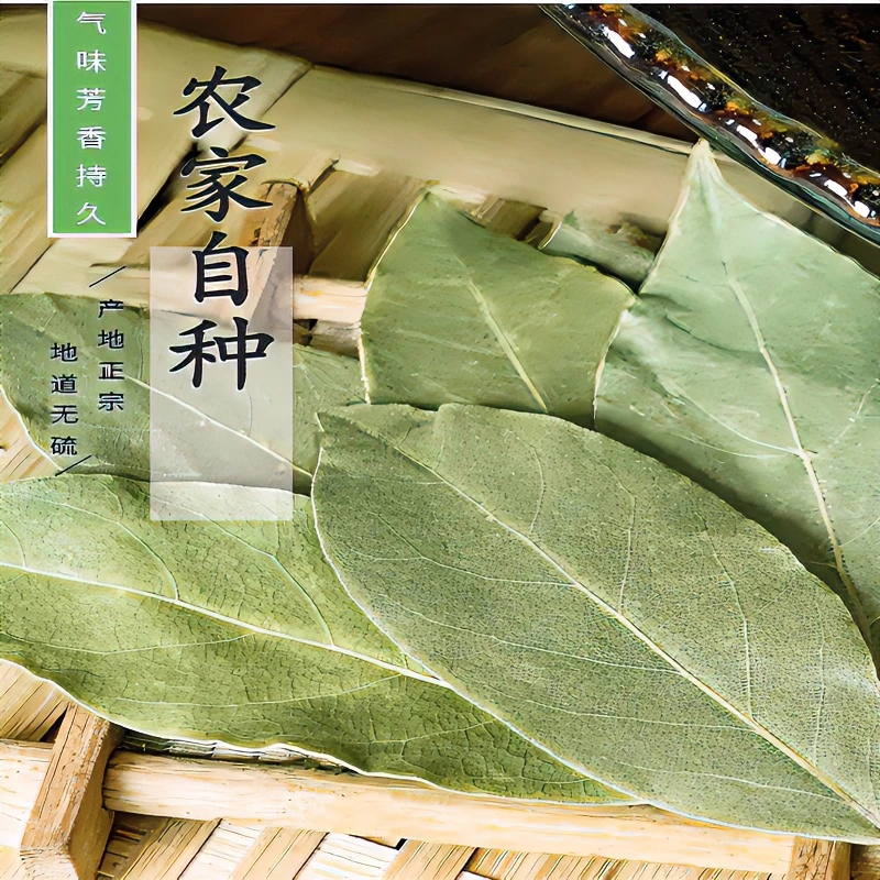 新鲜正宗香叶干货家庭做菜烹饪卤菜手选浓郁香料调料优良品特香
