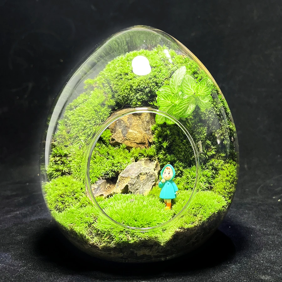 桌面趣味苔藓微景观系列蛋壳闷养生态种好发货创意绿植盆栽大号