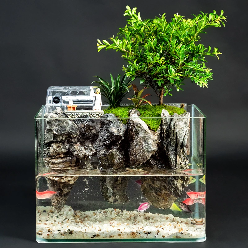 【水跃龙门】小叶赤楠青龙石造景苔藓微景观长22X宽15X高17cm