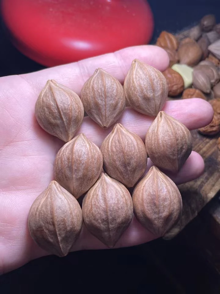 苏工丁方核雕2.4四花老油核素核手串