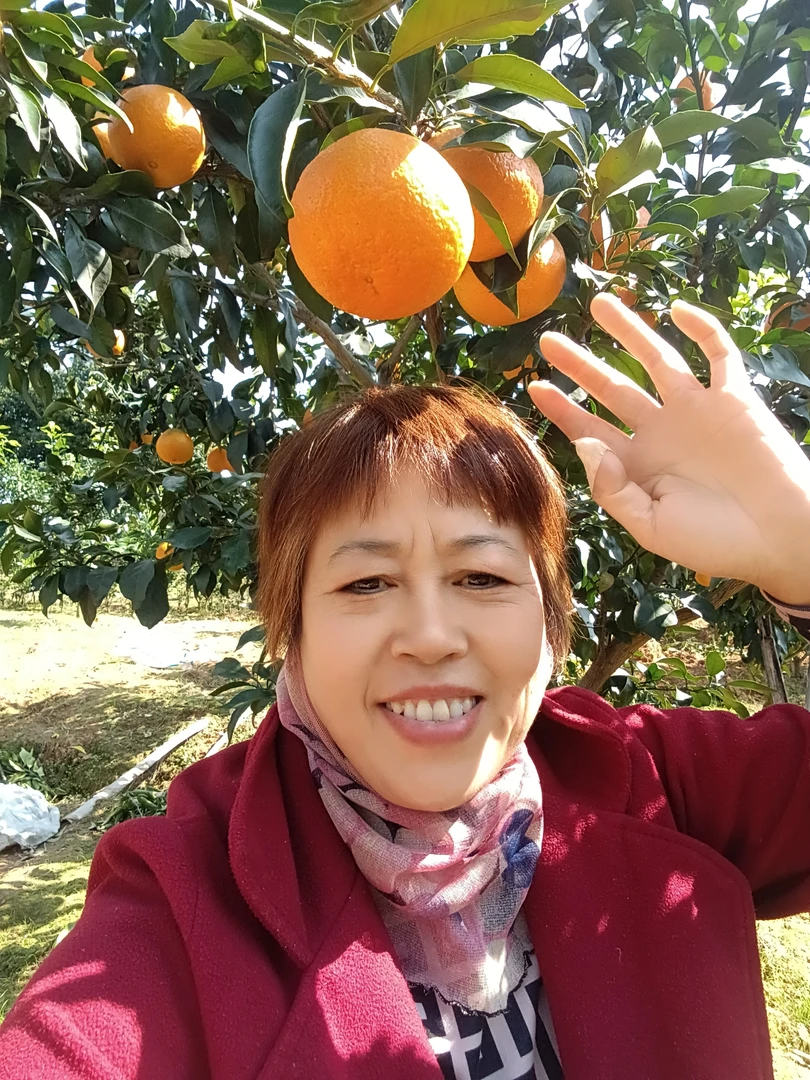 蒲江自家果园爱媛橙