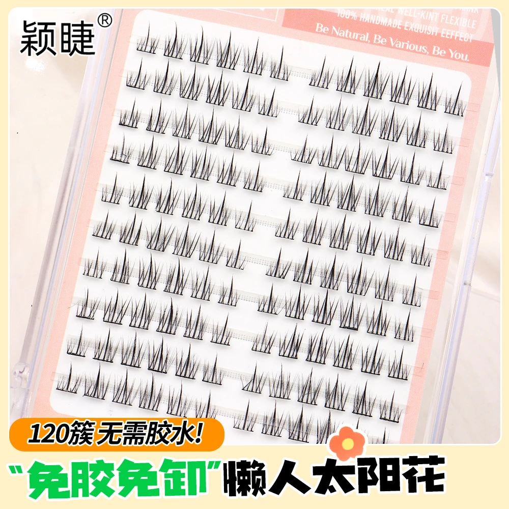 免胶太阳花假睫毛单簇分段式假眼睫毛柔软高品质纯欲初学者新手