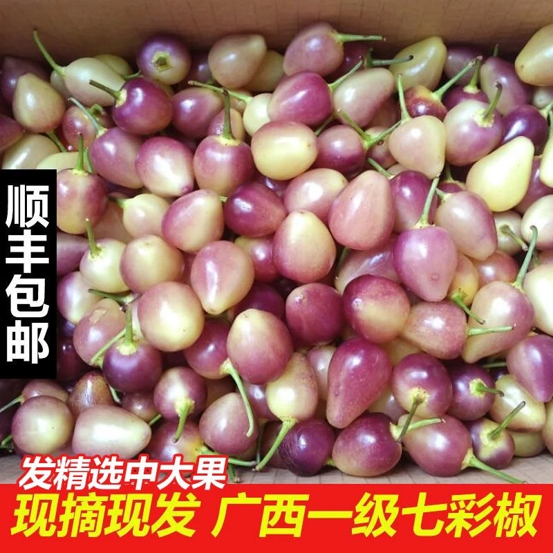 【顺丰包邮】七彩椒新鲜辣椒饱满蔬菜五彩椒泡椒小灯笼椒米椒特产