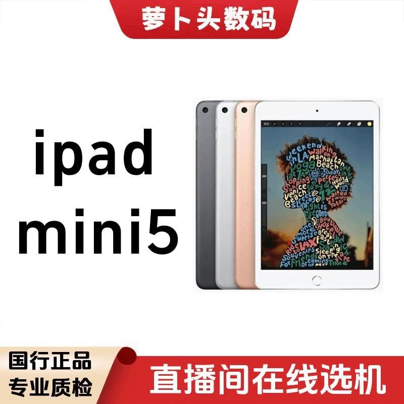 9新 Apple/苹果 iPad mini5 7.9寸平板电脑国行原装