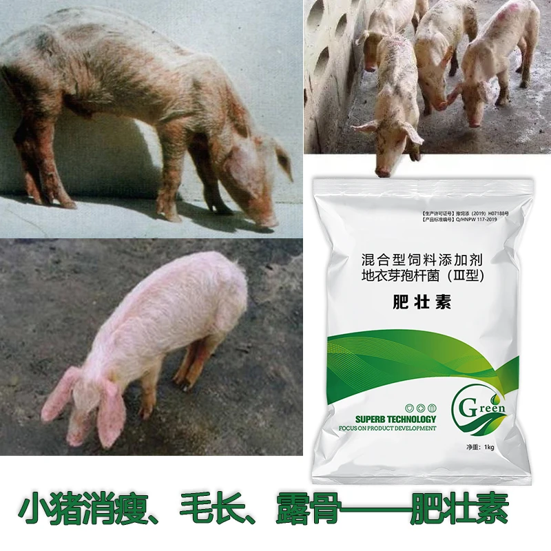 兽用猪催肥剂小猪益生菌瘦僵猪疯长肥壮素生猪育肥猛长饲料添加剂