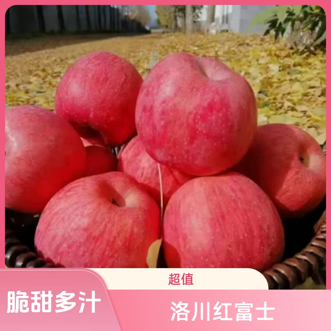 陕西正宗洛川红富士脆甜多汁新鲜水果2斤/4.2斤/8.4斤整箱包邮